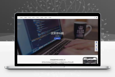网站建设网络科技网站模板