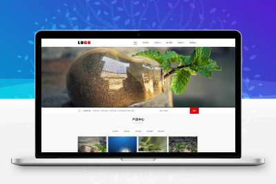 塑料包装材料网站模板