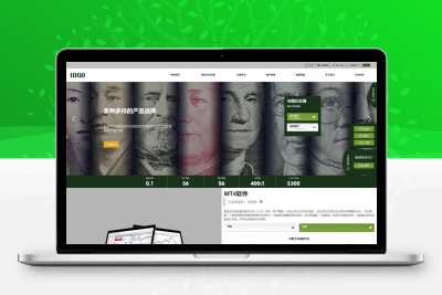 金融外汇网站模板