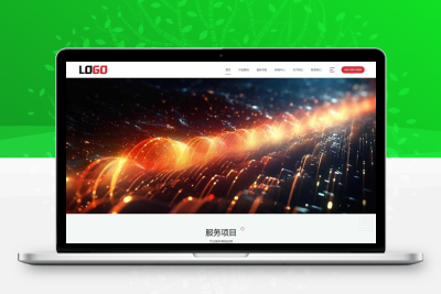 网络公司网站模板