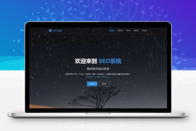 SEO站群系统网站源码