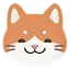 合租猫